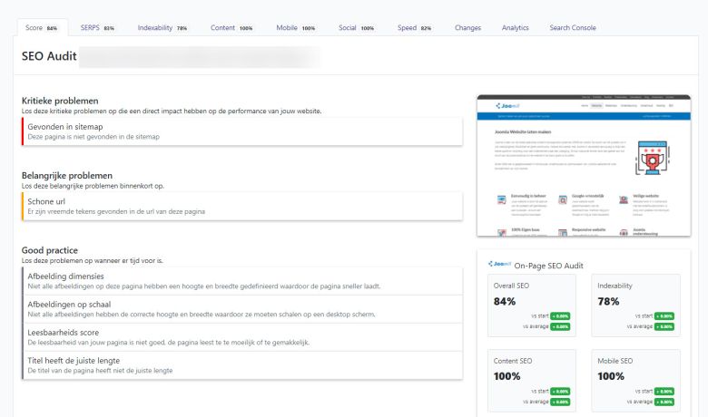 SEO Audit Overzicht